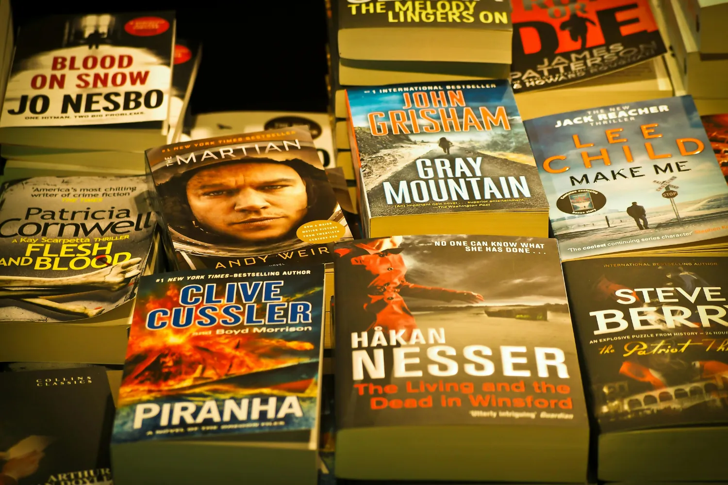 Best Freida McFadden Books Every Thriller Fan Must Read