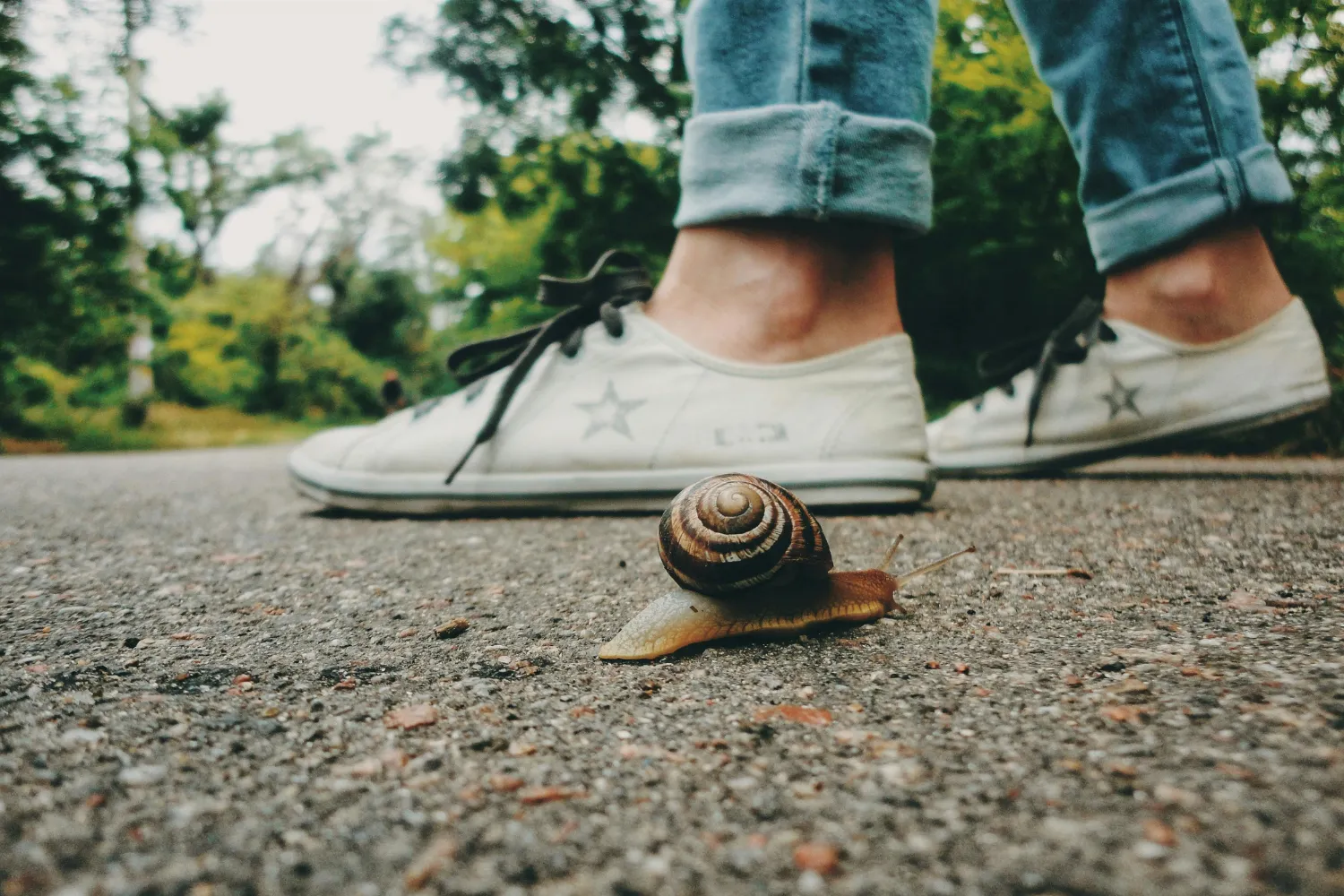 Best Women’s Walking Shoes for Travel in Europe