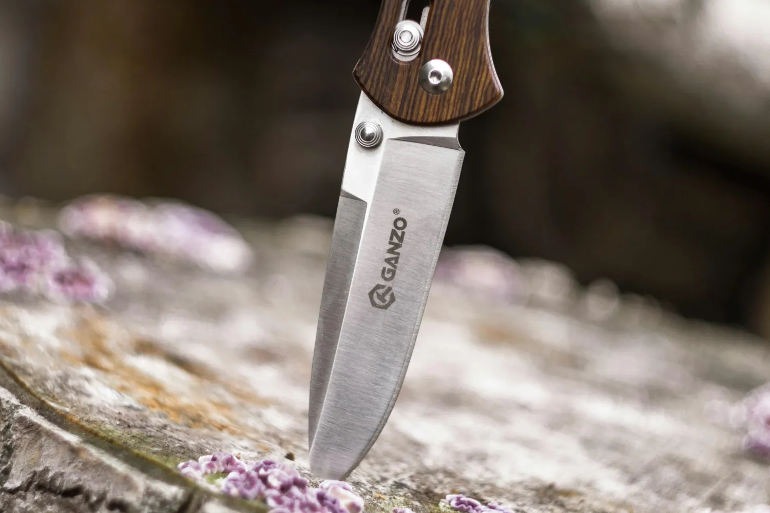 Best Fixed Blade Knife Every Outdoor Pro Recommends
